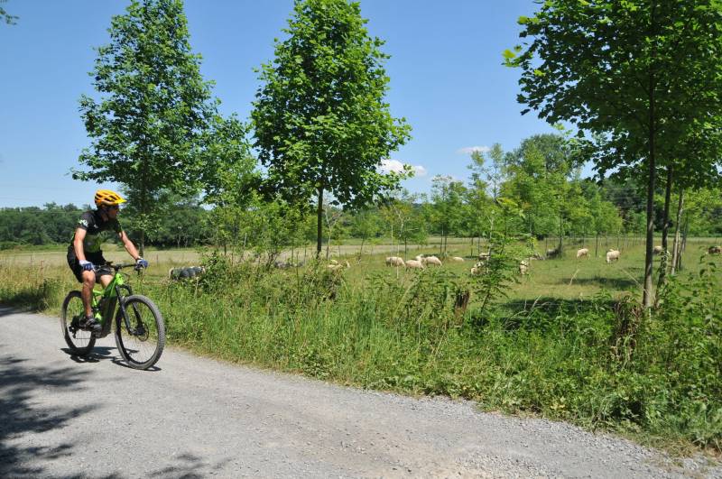 Randonnée : VTTAE N°69 - Le tour de Saint-Pée