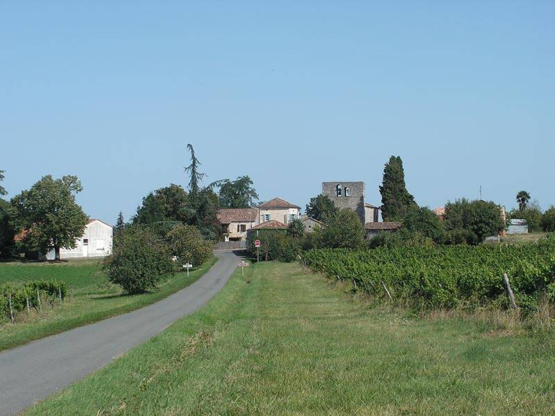 Randonnée : Boucle du Bois de Monsieur - Flaugeac