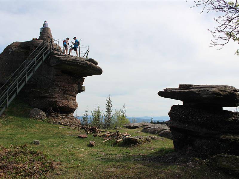 Randonnée : Circuit VTT au Cœur de la Plaine - n°3