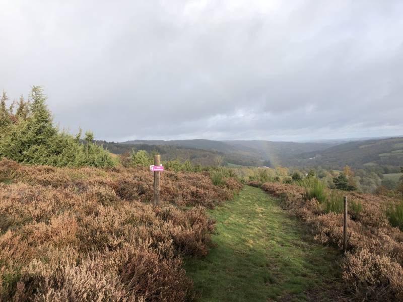 Randonnée : La Lande du Puy Raynaud - 13 km