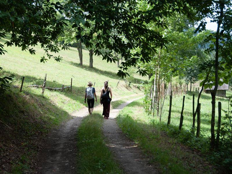 Randonnée : Randonnée - Entre vignoble et vergers