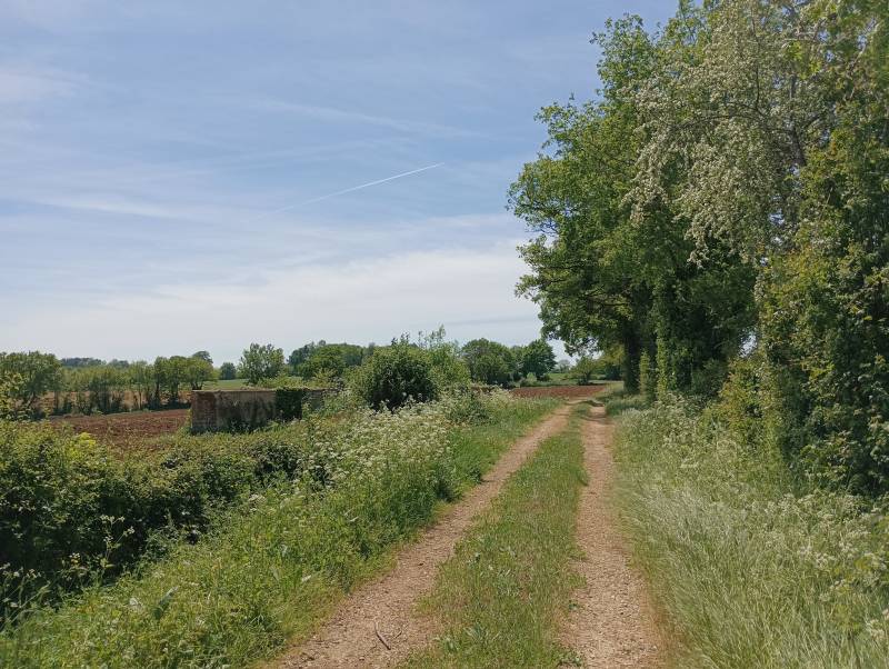 Randonnée : Le circuit des Tuileries - Argentières