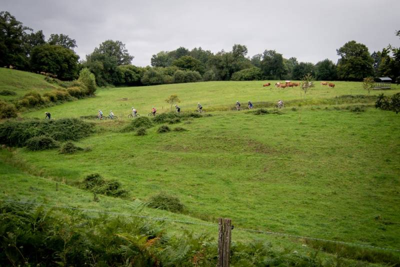 Randonnée : Circuit VTT Naturellement Périgord n°12 bleu
