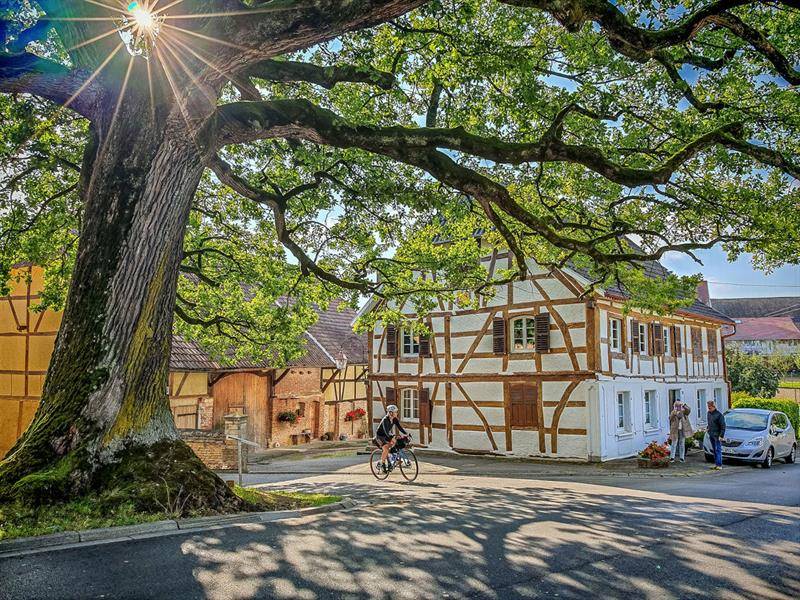 Randonnée : Le petit TDS (Tour du Sundgau) Gravel