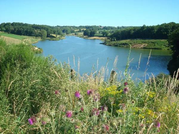 Randonnée : Circuit 9 : Planèzes