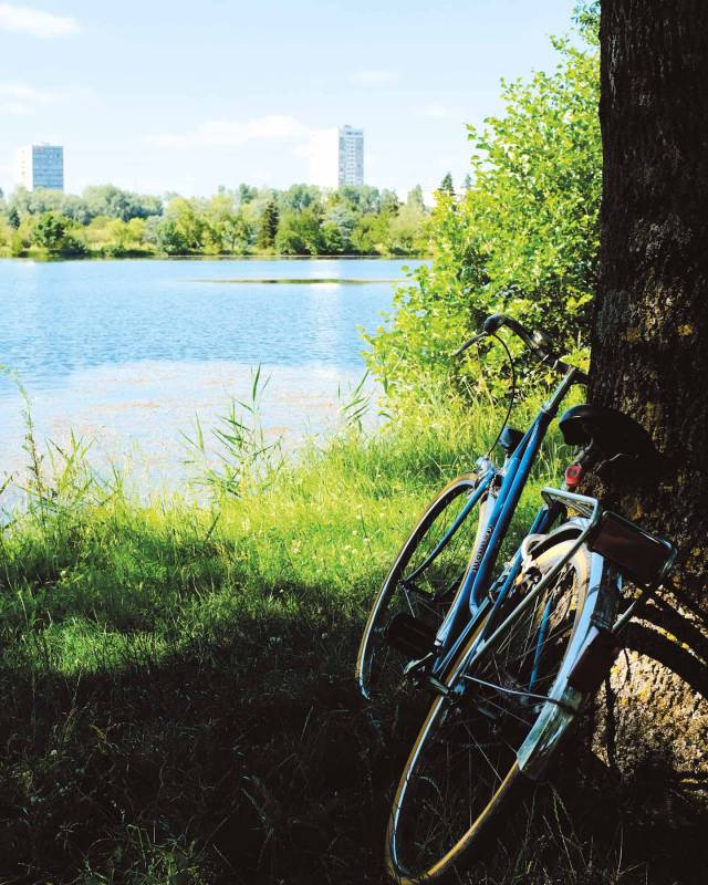 Randonnée : Au bord du Cher - Boucle vélo de la Métropole de Tours n°5