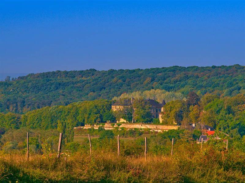 Randonnée : GR5 de Kédange-sur-Canner à Metz