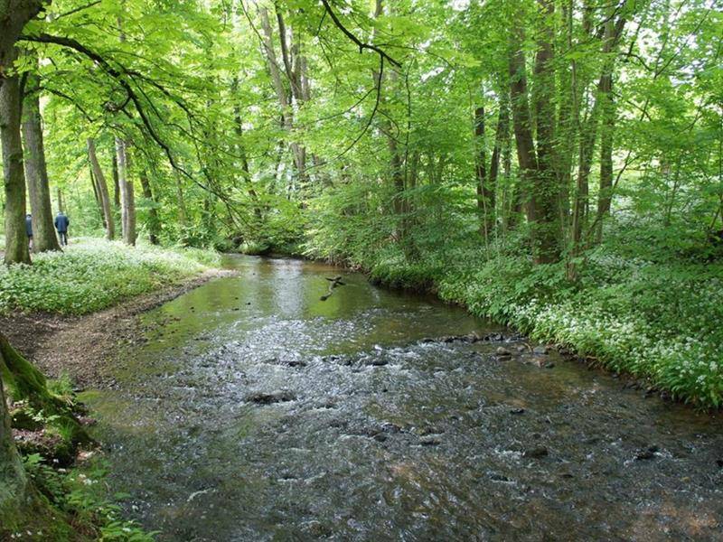 Randonnée : Circuit course à pied Sentier de l'Ehn