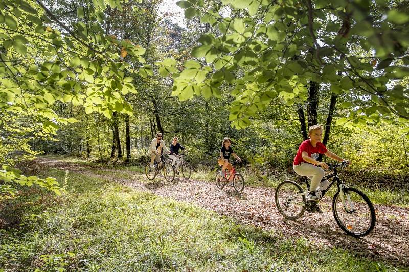 Randonnée : L'échappée royale - Boucle vélo n°1