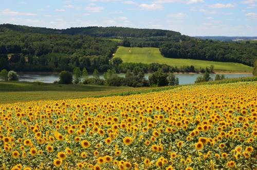 Randonnée : Sainte-Gemme, randonnée dans les collines Gasconne