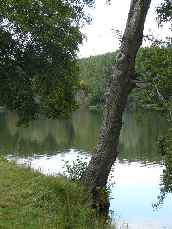 Randonnée : Sentier du plan d'eau de Barjouville