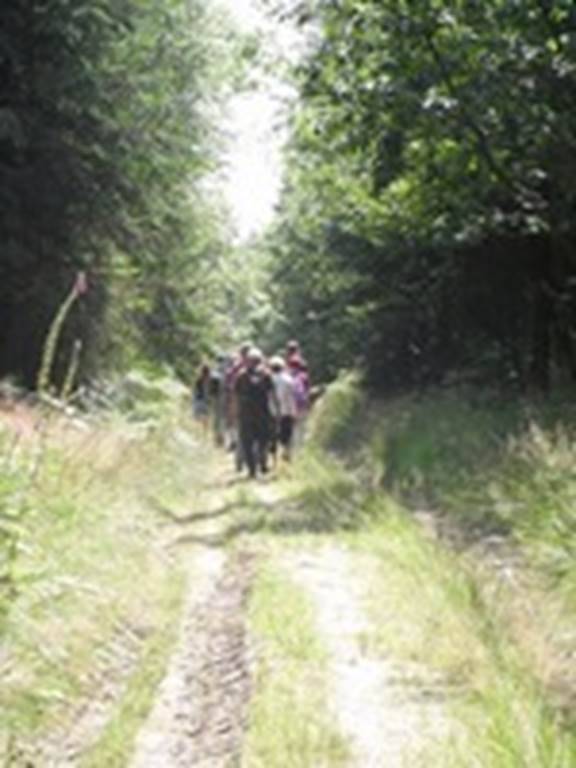 Randonnée : Randonnée "Sentier des Dames de Meuse"