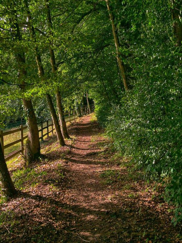 Illustration : Sentier du patrimoine