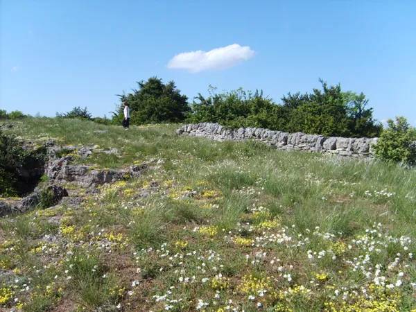 Randonnée : Randonnée Le plateau du Guilhaumard - PR44