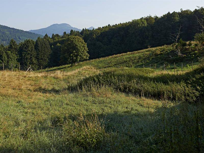 Randonnée : Circuit rando C16 : Le vallon d'Albet