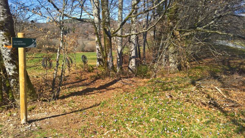 Randonnée : Sentier d'interprétation des Merlettes