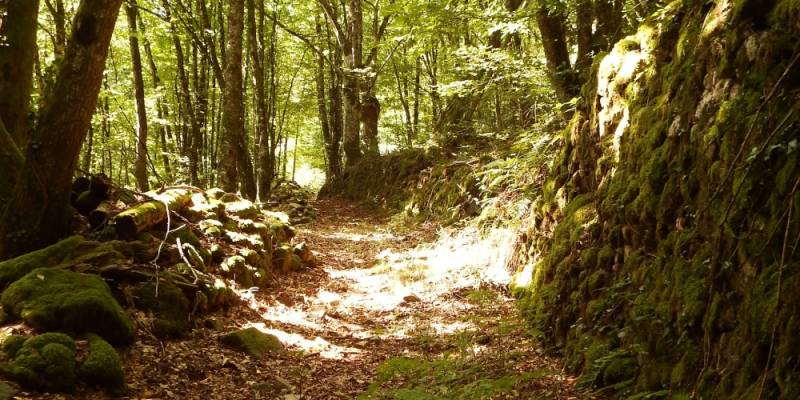 Randonnée : Vallée du Doustre