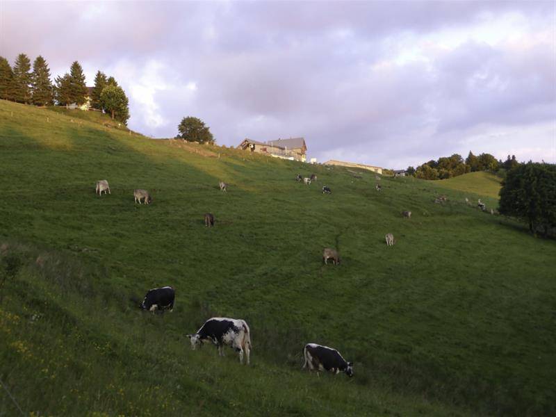 Randonnée : Balade ferme-auberge du Treh : le domaine de l'envol