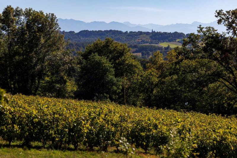 Randonnée : Cabidos : les Manoirs