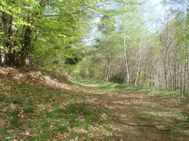 Randonnée : VTT - Gravel - Piste jaune - 4 km - circuit 45