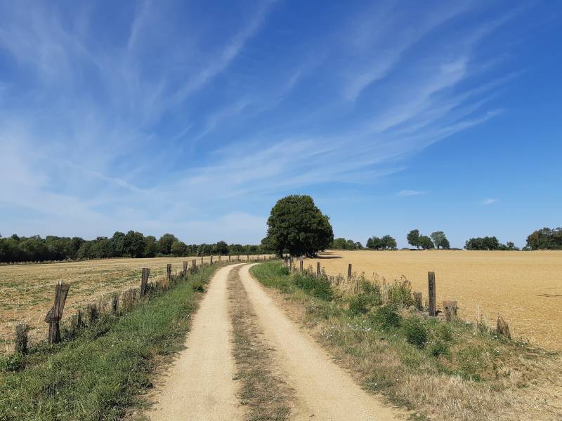 Randonnée : Lambon-Gros-Bois-Parking haut base de loisirs