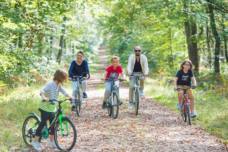 Randonnée : Au cœur de la forêt domaniale de Loches - Boucle vélo n°2