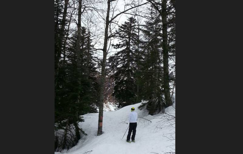 Randonnée : Circuit raquette Le Bois des Crétets
