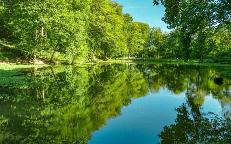 Randonnée : VTT 1 Les Bois de Carrasquet à Sargaillouse