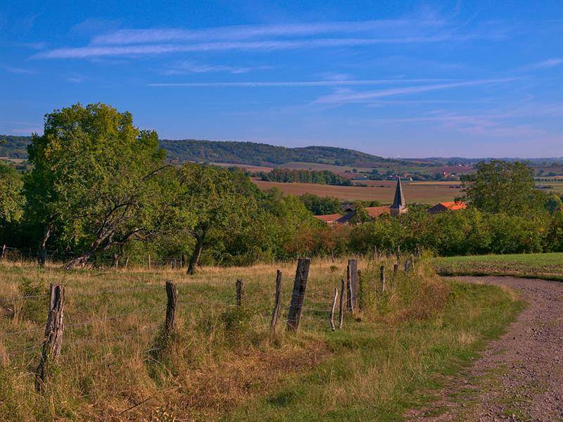 Randonnée : Entre vergers et forêts