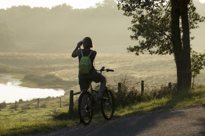 Randonnée : Itinéraire vélo n°2 - Etangs et buttons de Brenne