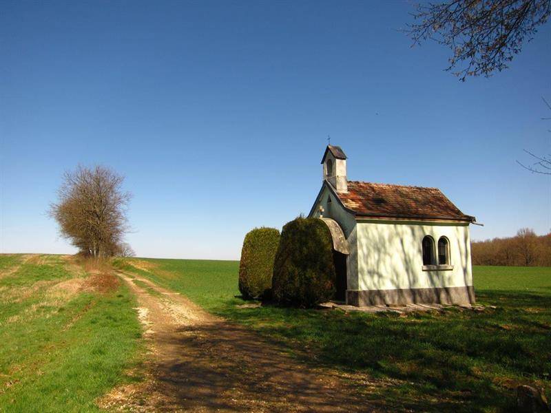 Randonnée : Randonnée pédestre: le circuit des étangs de Bisel