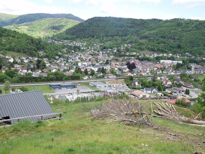 Randonnée : Sentier du Hirschenbach