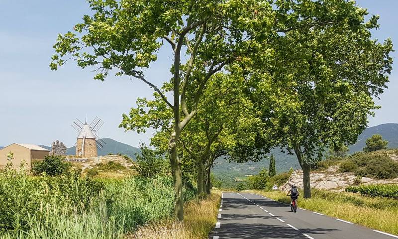 Randonnée : BOUCLE CYCLO N°9 - SAINT-CHINIAN, RELIEFS ET VIGNES