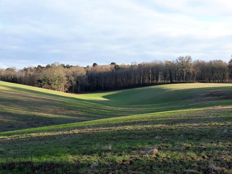 Randonnée : Balade de la biodiversité : Boucle de l'Herm n° 34 /Rouffignac
