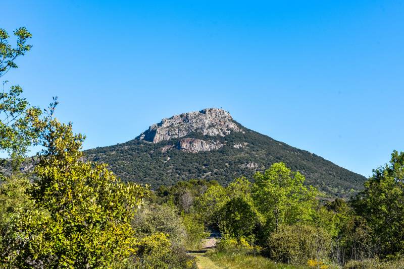 Randonnée : TRAIL DE L'ESTABEL