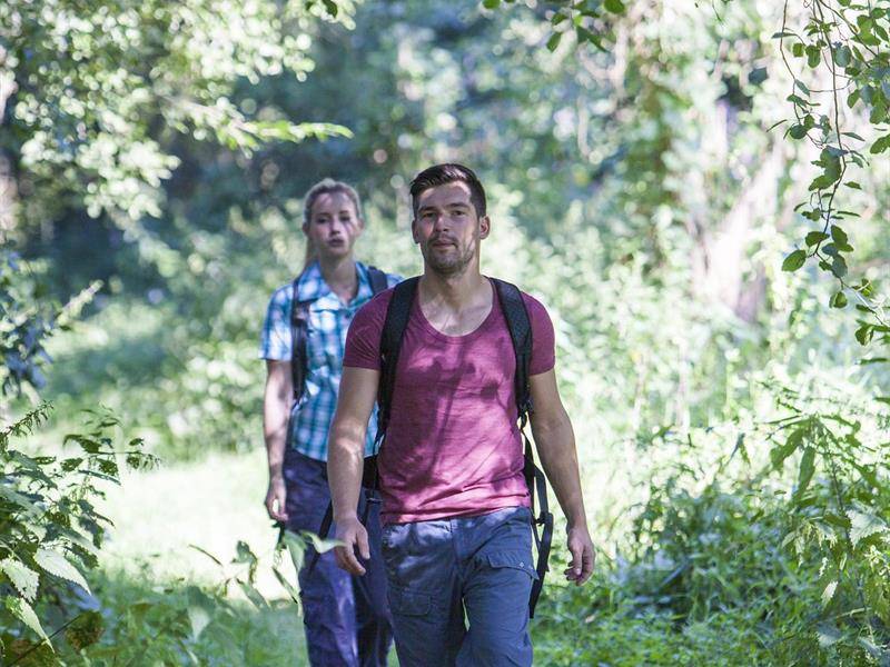 Randonnée : Rando blies wanderweg