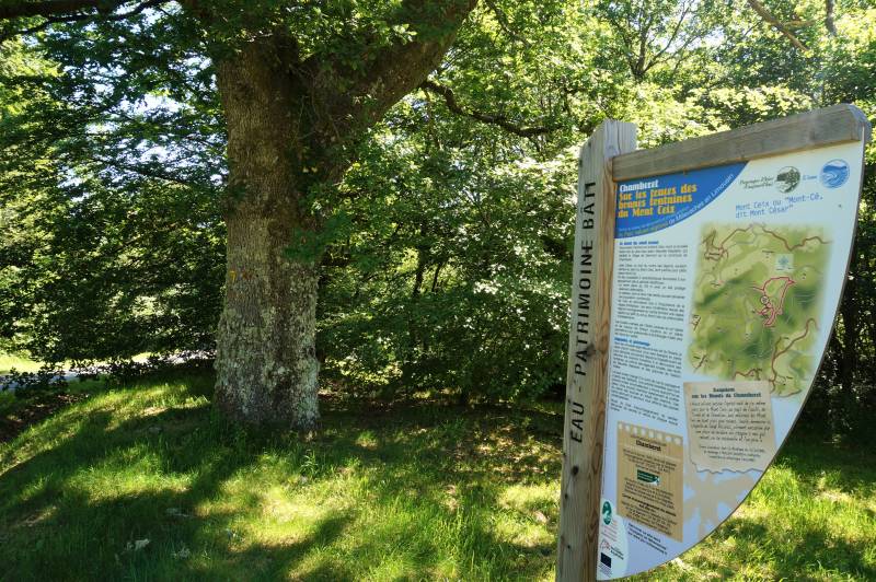 Randonnée : Sur les traces des Bonnes Fontaines du Mont Ceix