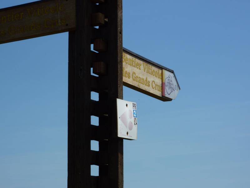 Randonnée : Sentier viticole des Grands Crus - Beblenheim