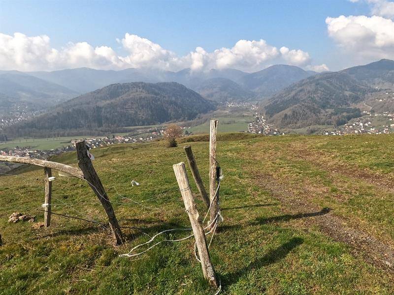 Randonnée : Trail - l'atelier du Schwitzerwald
