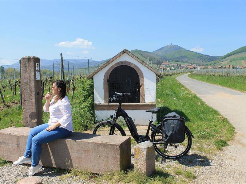 Randonnée : Circuit vélo de la Véloroute du Vignoble à la Véloroute du Rhin