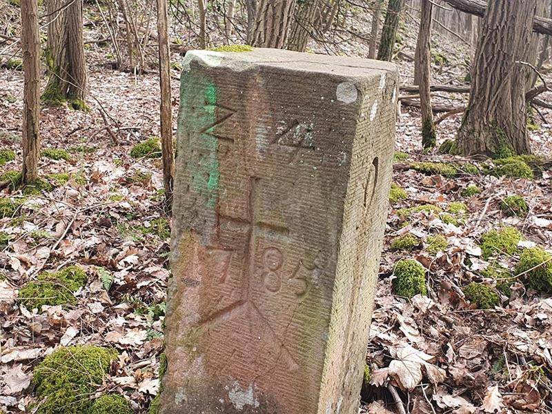 Randonnée : Randonnée Autour du Wurmberg - parcours est