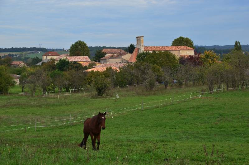 Randonnée : Savignac-sur-Leyze, vers Cambe de l'Homme