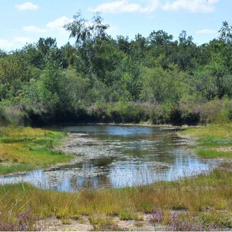 Randonnée : Boussais - Espace Naturel Sensible - Les communaux de l'Hôpiteau