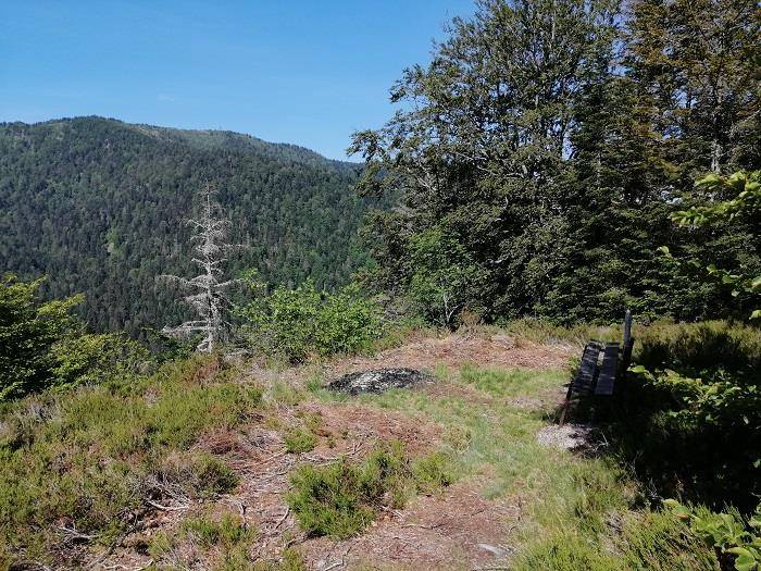 Randonnée : Itinéraire VTT n°14 - La Botiotte - départ: office de tourisme