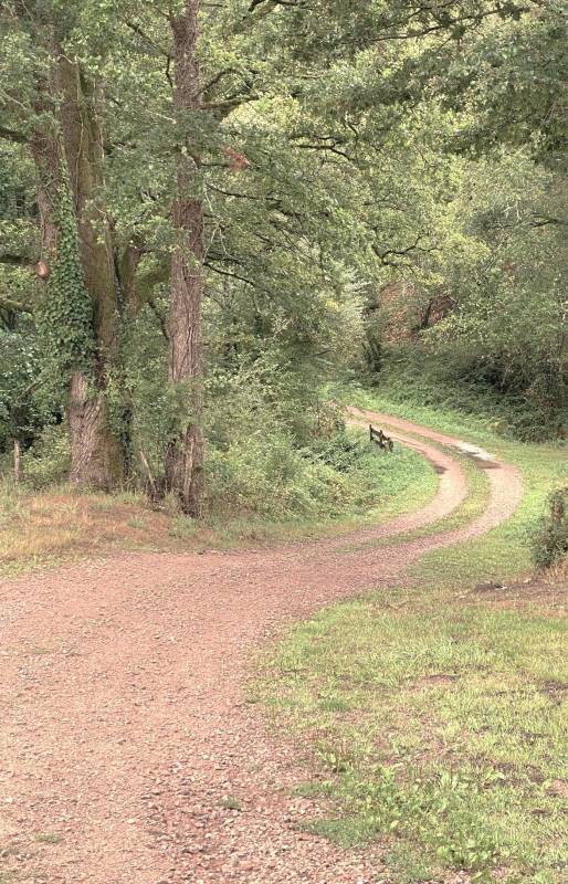 Randonnée : Boucle du Banaret