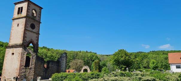 Randonnée : A toute vapeur vers le pays des oiseaux depuis Thann