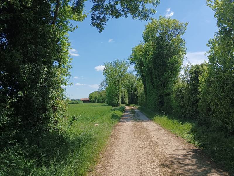 Randonnée : Le chemin des Lavandières - Hanc
