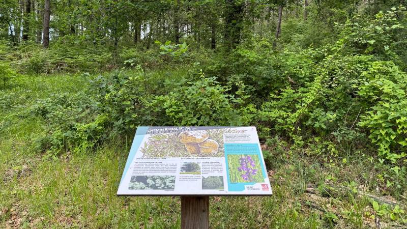 Randonnée : Boucle des anciennes landes