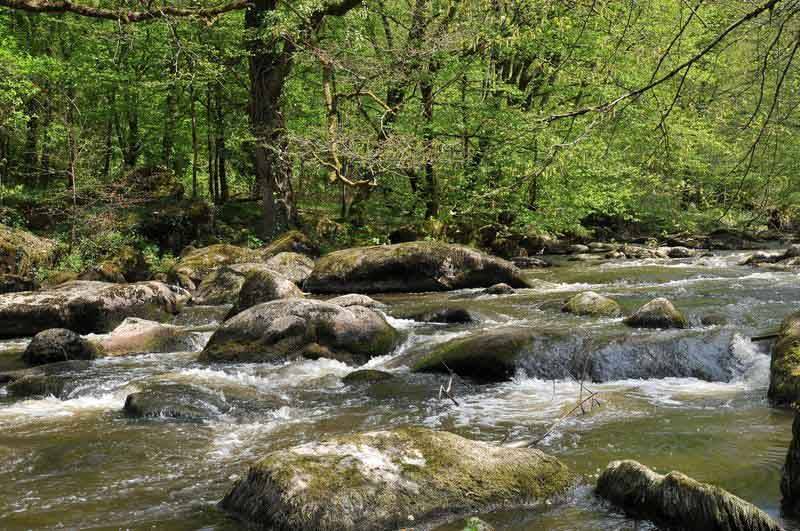 Randonnée : Sentier des Feutrières