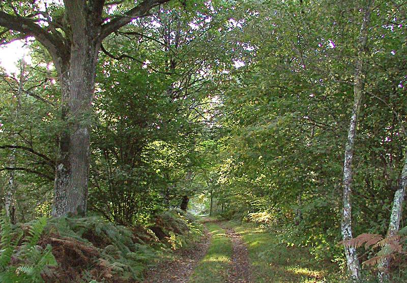 Randonnée : Circuit de la Minardière
